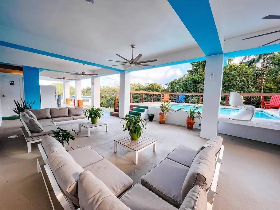Aladdin El Yunque House W/ Pool & Views Lejlighed Carmelita